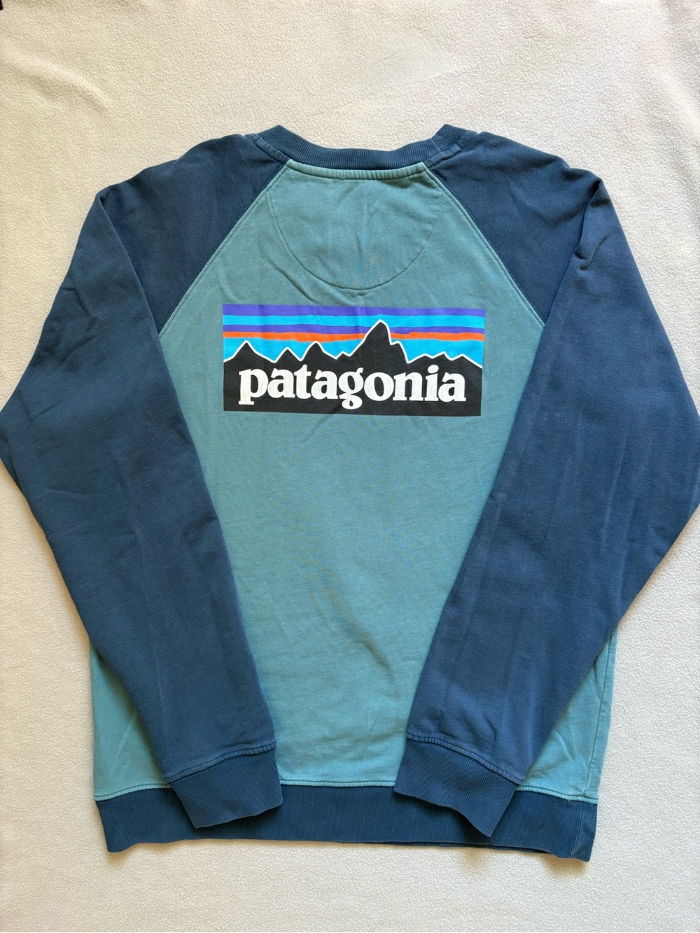 Patagonia Men's P-6 Logo Organic Crewneck Sweatshirt Medium Blue/Teal